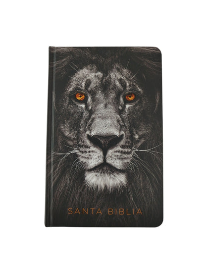 Biblia rvr 1960 letra grande tamaño manual tapa dura león de judá con imágenes de la tierra santa by Reina Valera 1960