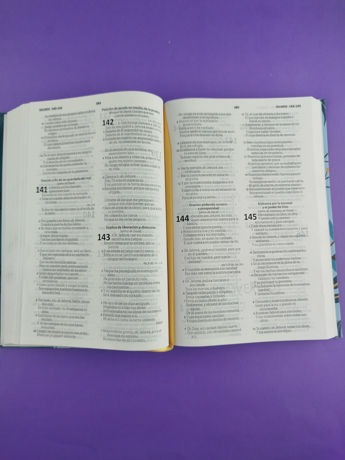 Biblia RVR1960 azul ramas tapa flexible