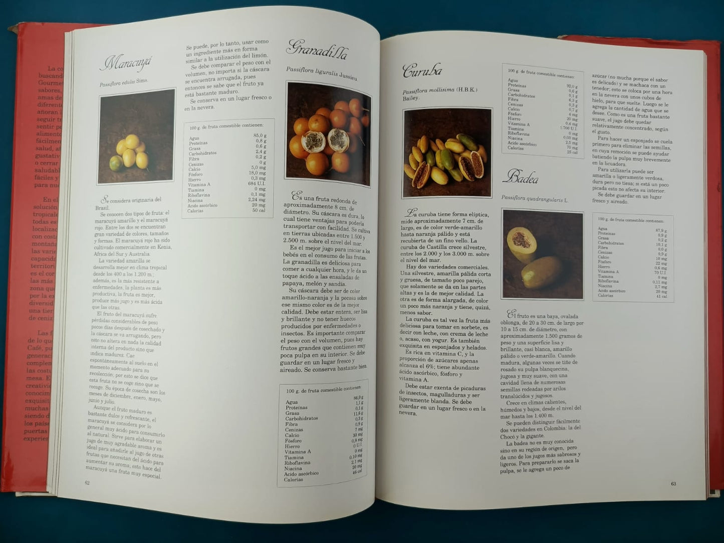 Deliciosas Frutas Tropicales