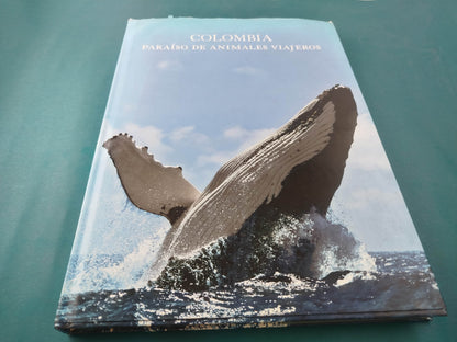 Paraíso De Animales Viajeros