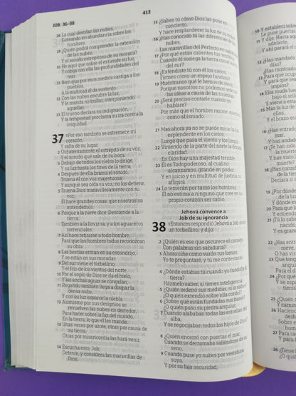 Biblia RVR1960 azul ramas tapa flexible