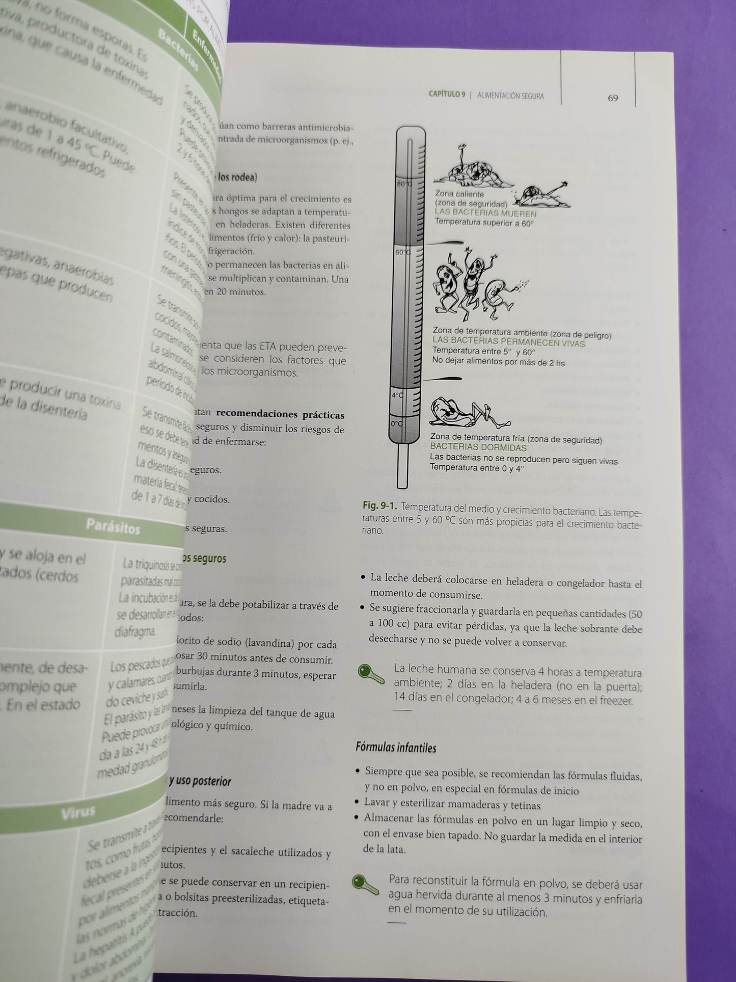 Nutrición en Pediatría. Bases Para la Práctica Clínica en Niños Sanos y Enfermos by Débora Setton ,Adriana Fernández