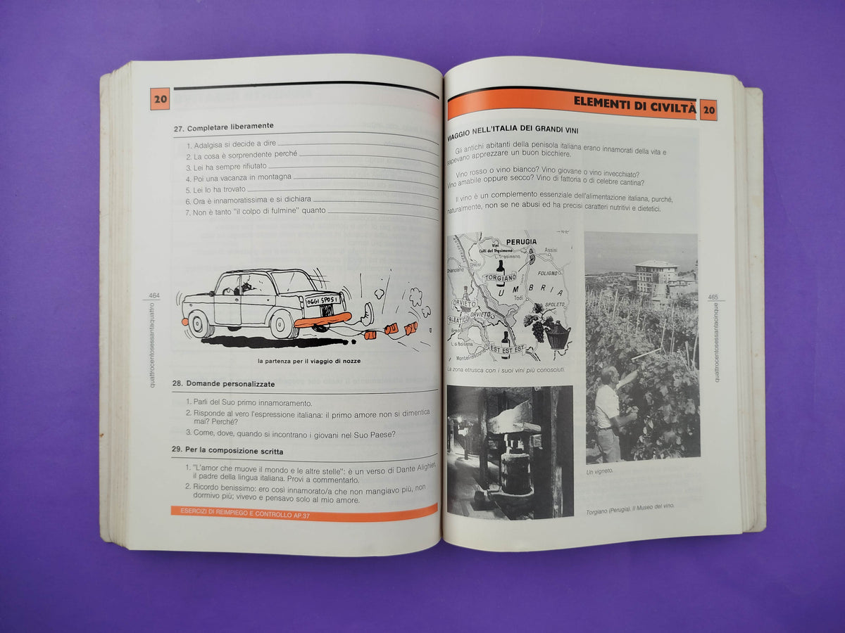 In Italiano Level 2 by Chiuchiù, Angelo; Minciarelli, Fausto; Silvestrini, Marcello