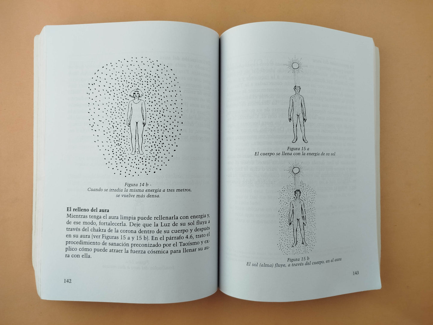 Manual de Proteccion Energetica