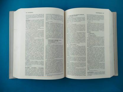 Diccionario Akal de Estética