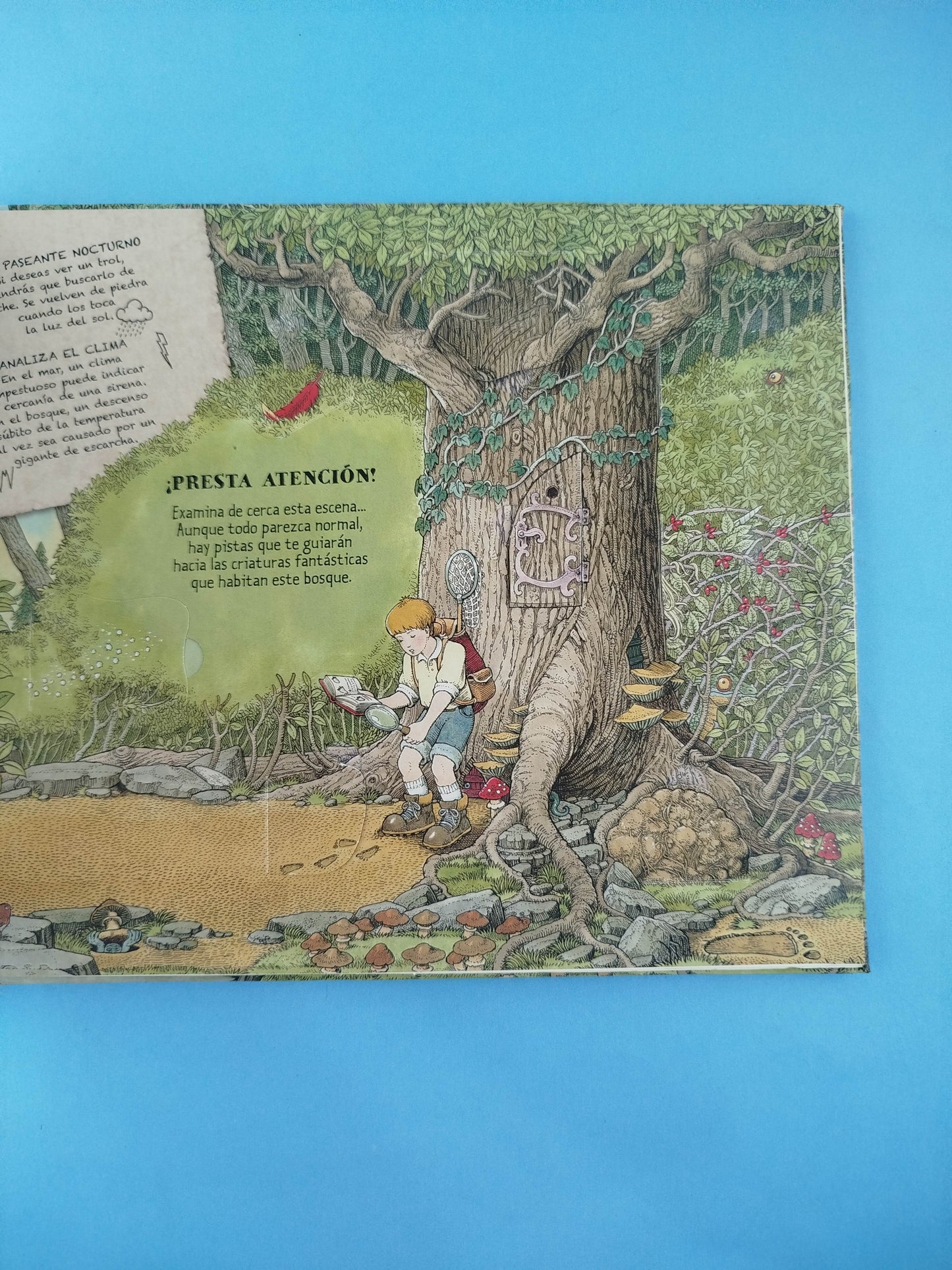 Cómo Encontrar una Criatura Fantástica