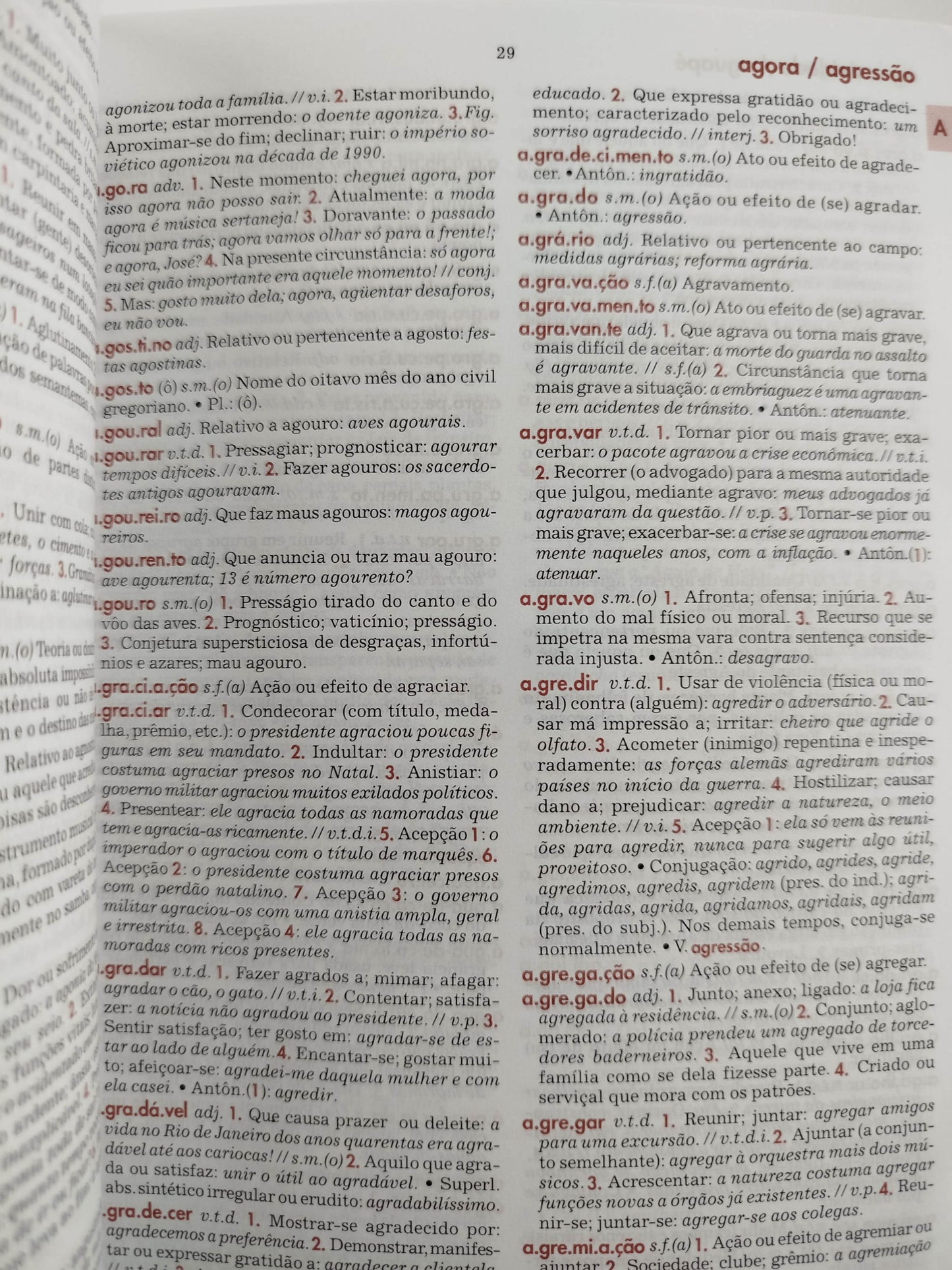 Diccionario essencial da lingua portuguesa by Luis Antonio Sacconi