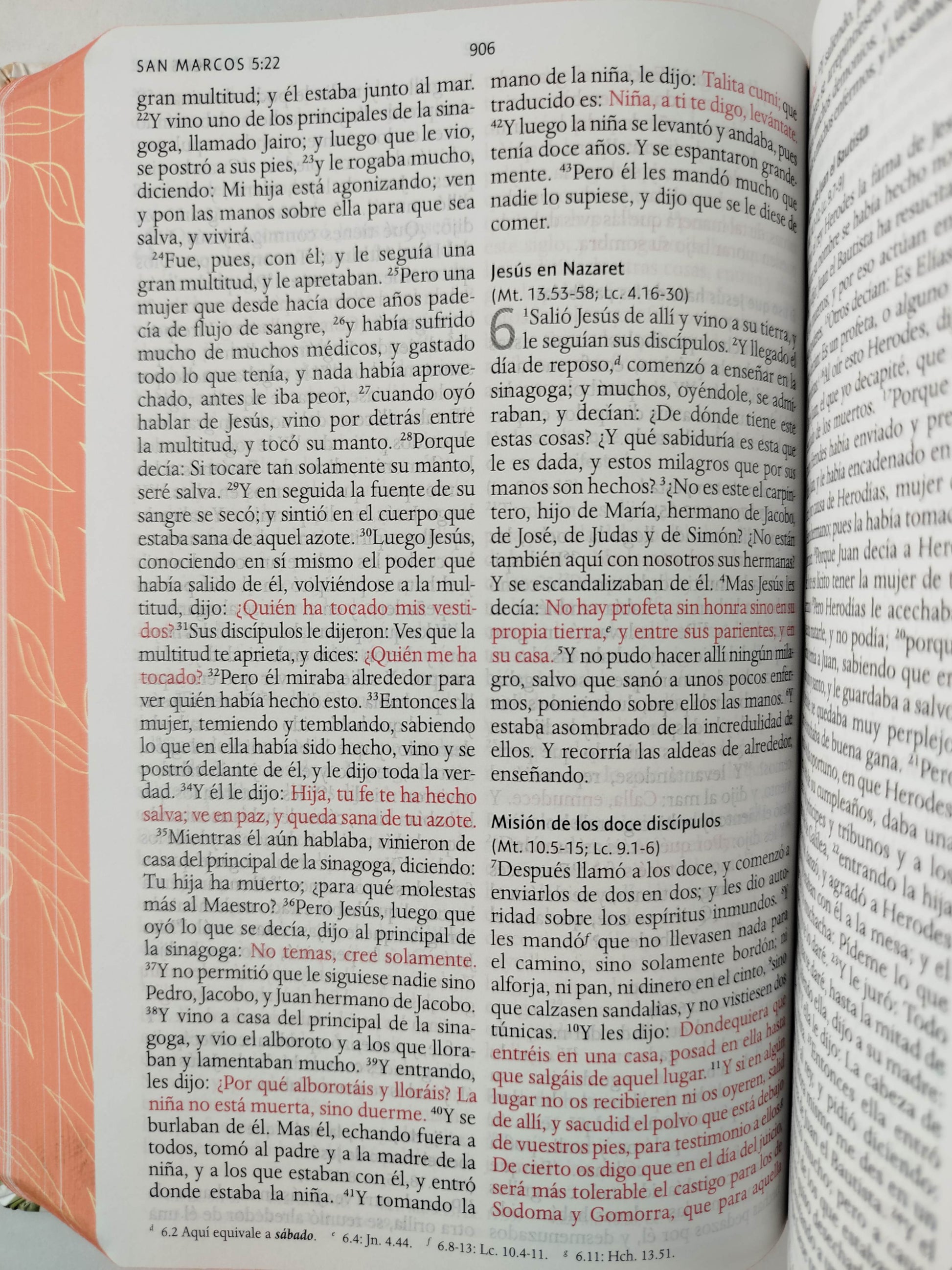 Biblia RVR 1960 letra grande tamaño manual, HC, flores rosadas y cantos pintados by Cipriano Valera
