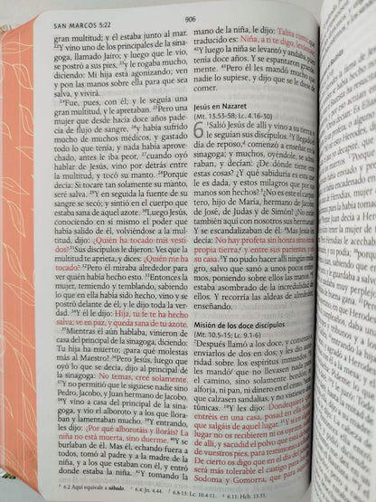 Biblia RVR 1960 letra grande tamaño manual, HC, flores rosadas y cantos pintados by Cipriano Valera