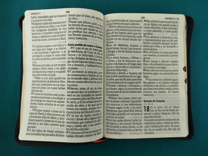 Biblia Valera 1960 Letra Super Gigante Cierre Negro e índice