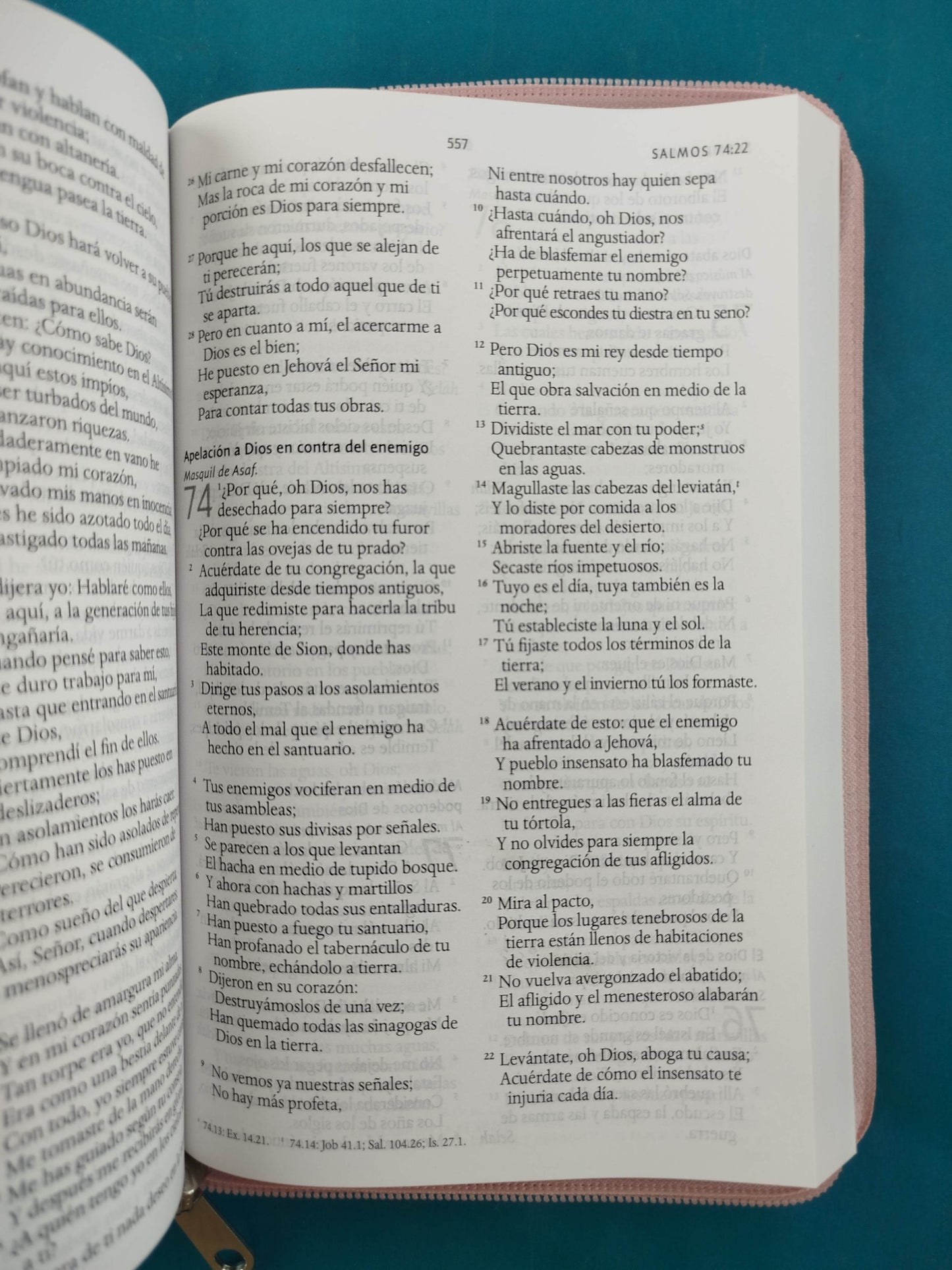 Biblia RVR 1960 Letra Grande Estuche Palo Rosada