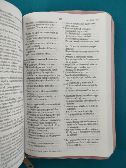Biblia RVR 1960 Letra Grande Estuche Palo Rosada