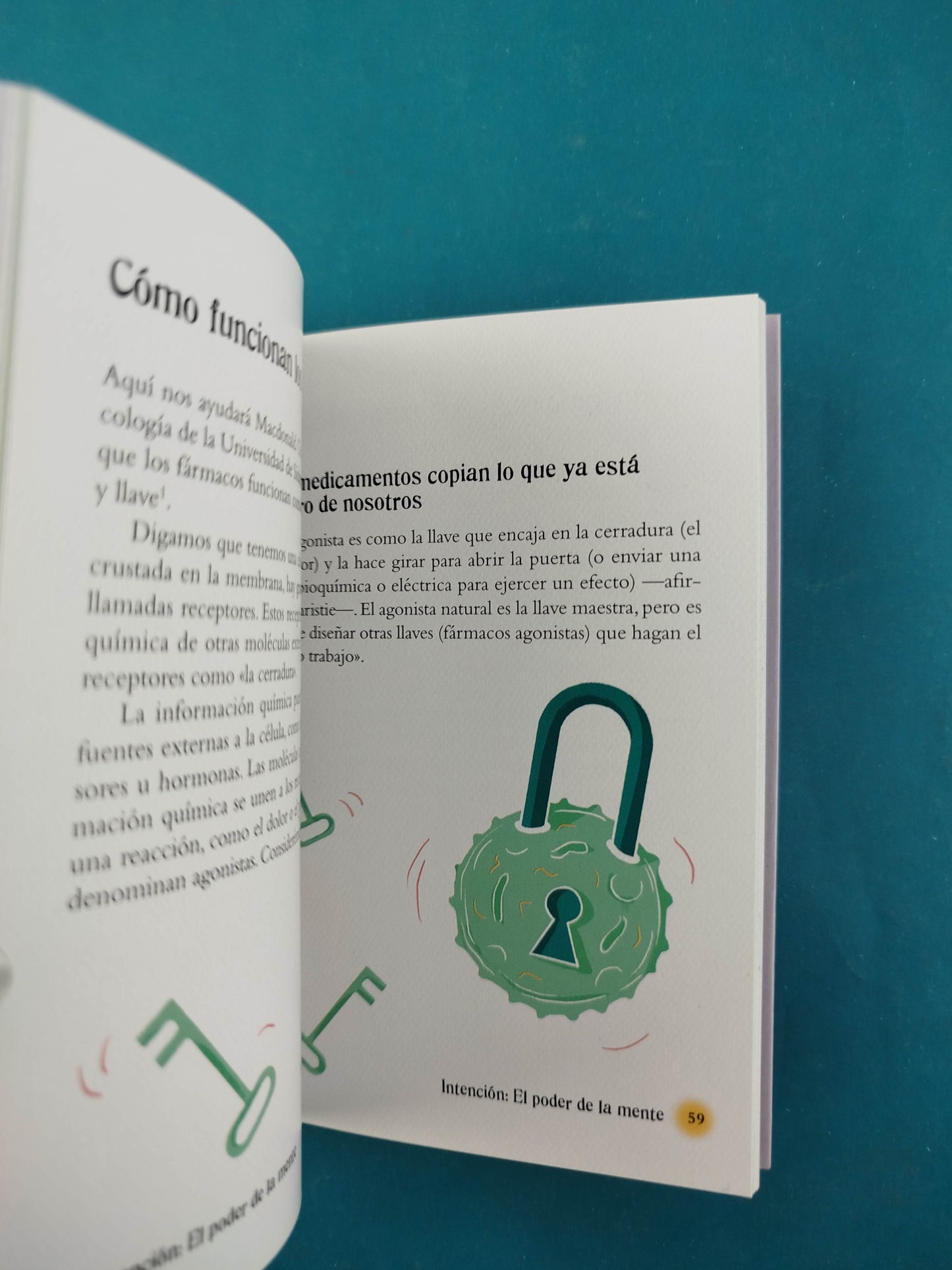 El pequeño libro del reiki