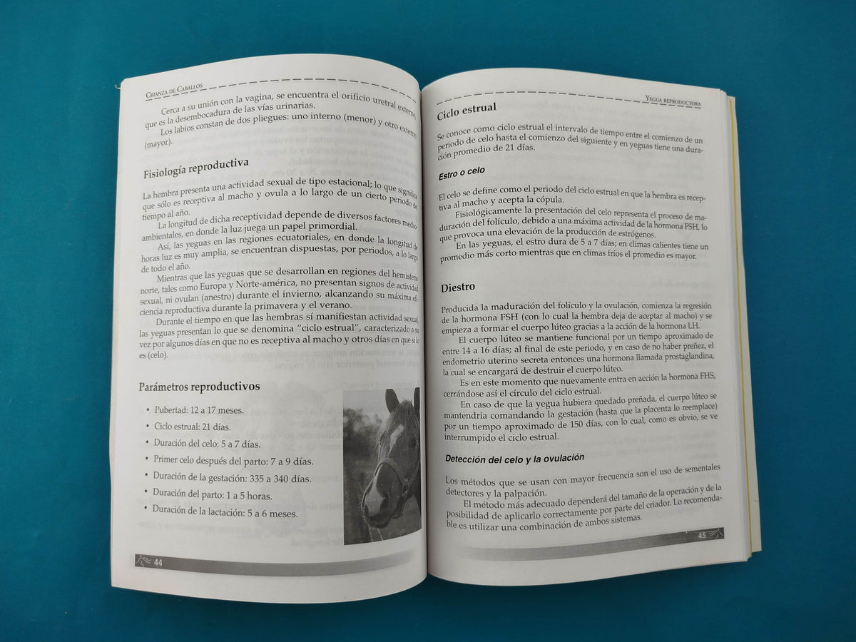 Crianza de Caballos by Varios Autores