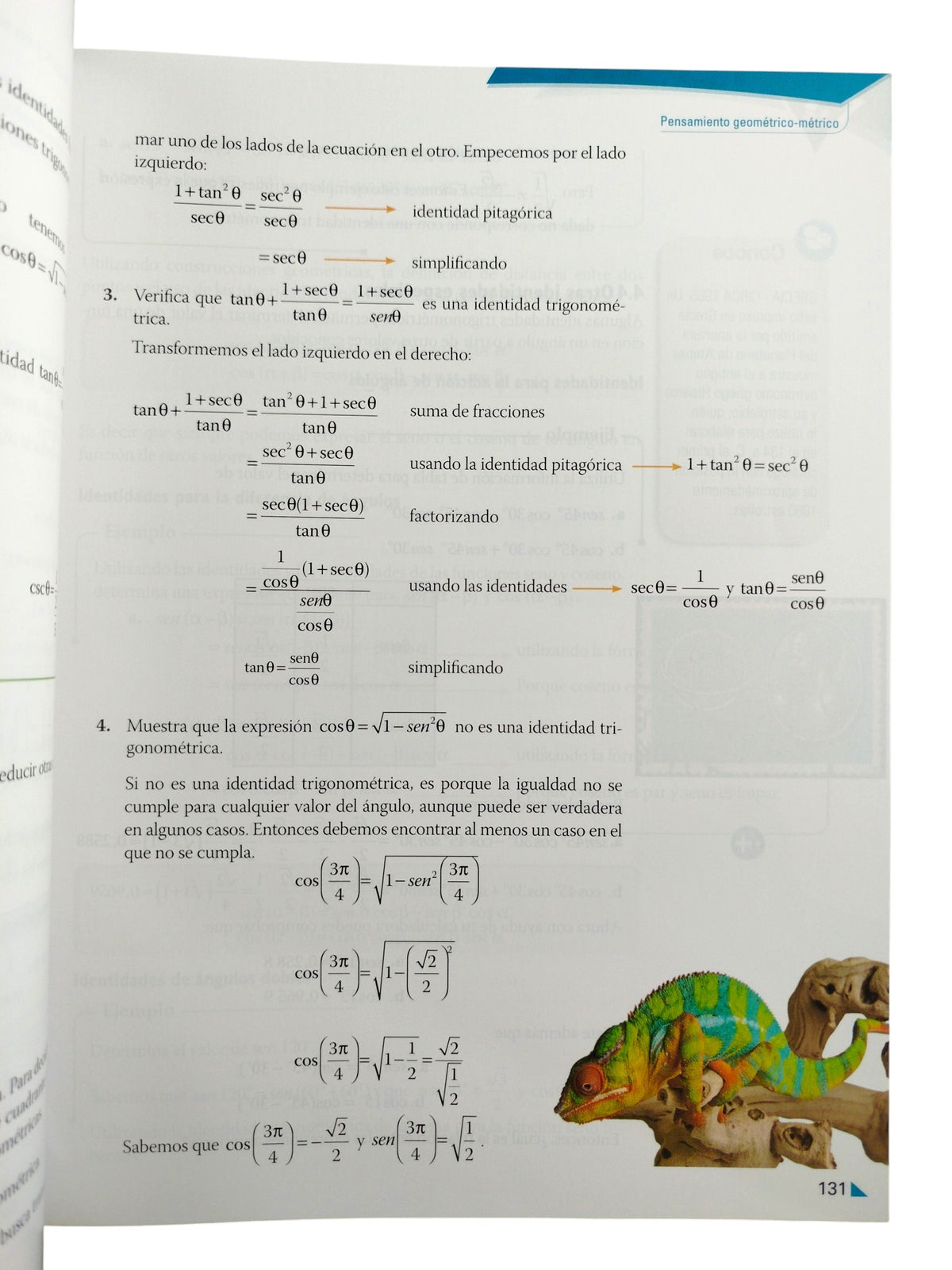 Enlace Matemáticas 10 by Varios