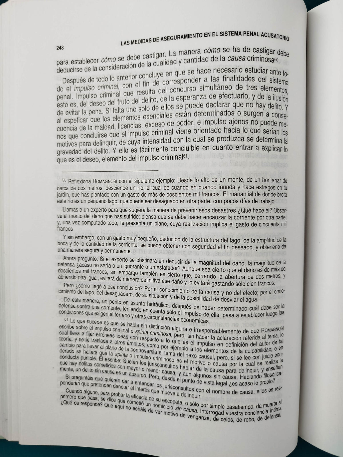 Las medidas de aseguramiento en el sistema en el sistema penal acusatorio by Heliodoro Fierro Mendez