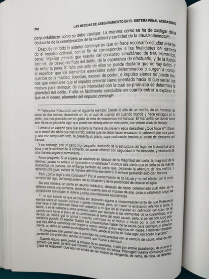 Las medidas de aseguramiento en el sistema en el sistema penal acusatorio