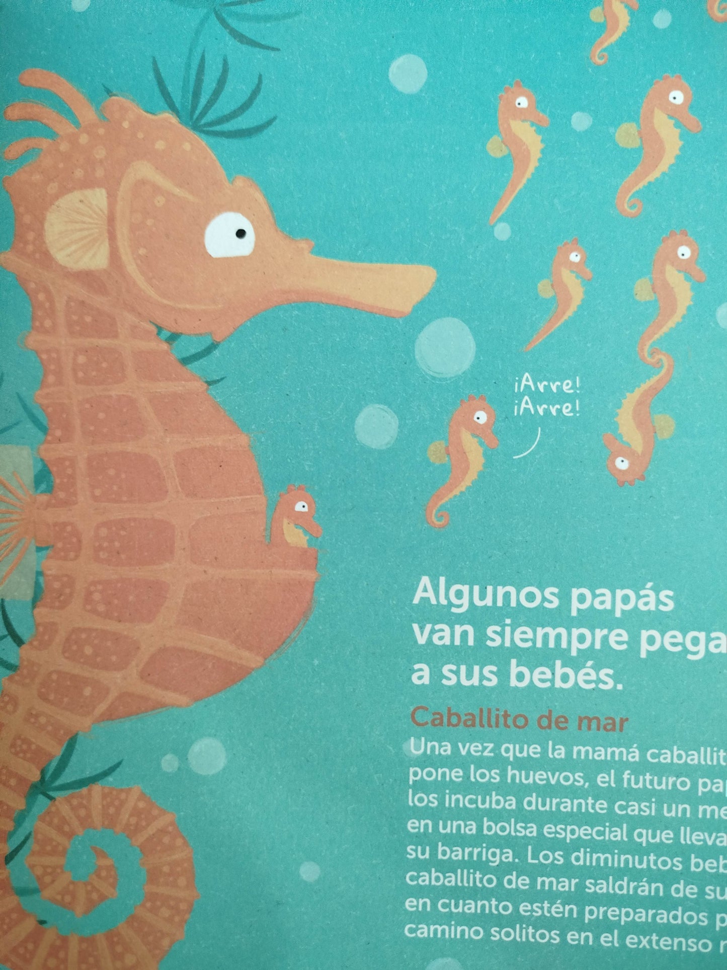 Superpapás by Philp Bunting