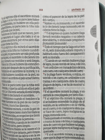 Biblia rvr con índice Gris negra canto plateado by Varios