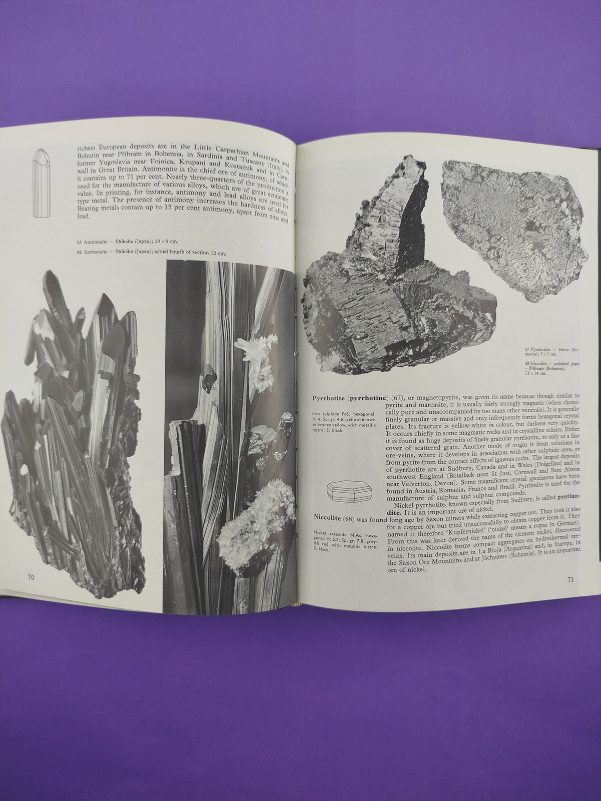 The Illustrated Encyclopedia Of Minerals And Rocks by Randolph Lucas