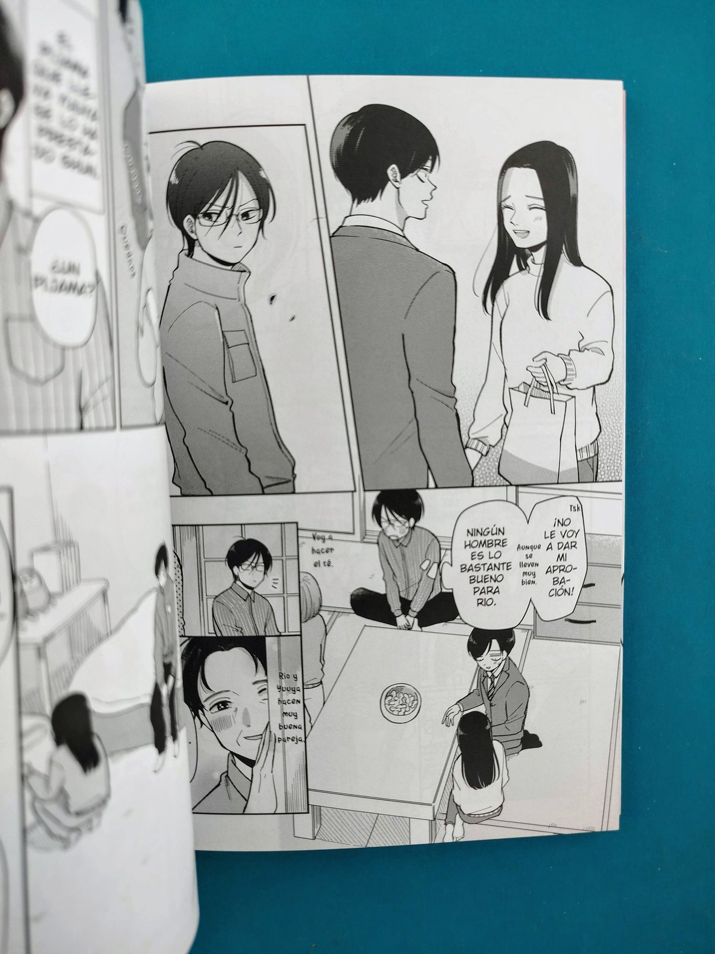 Nos las arreglaremos (más o menos) N.2