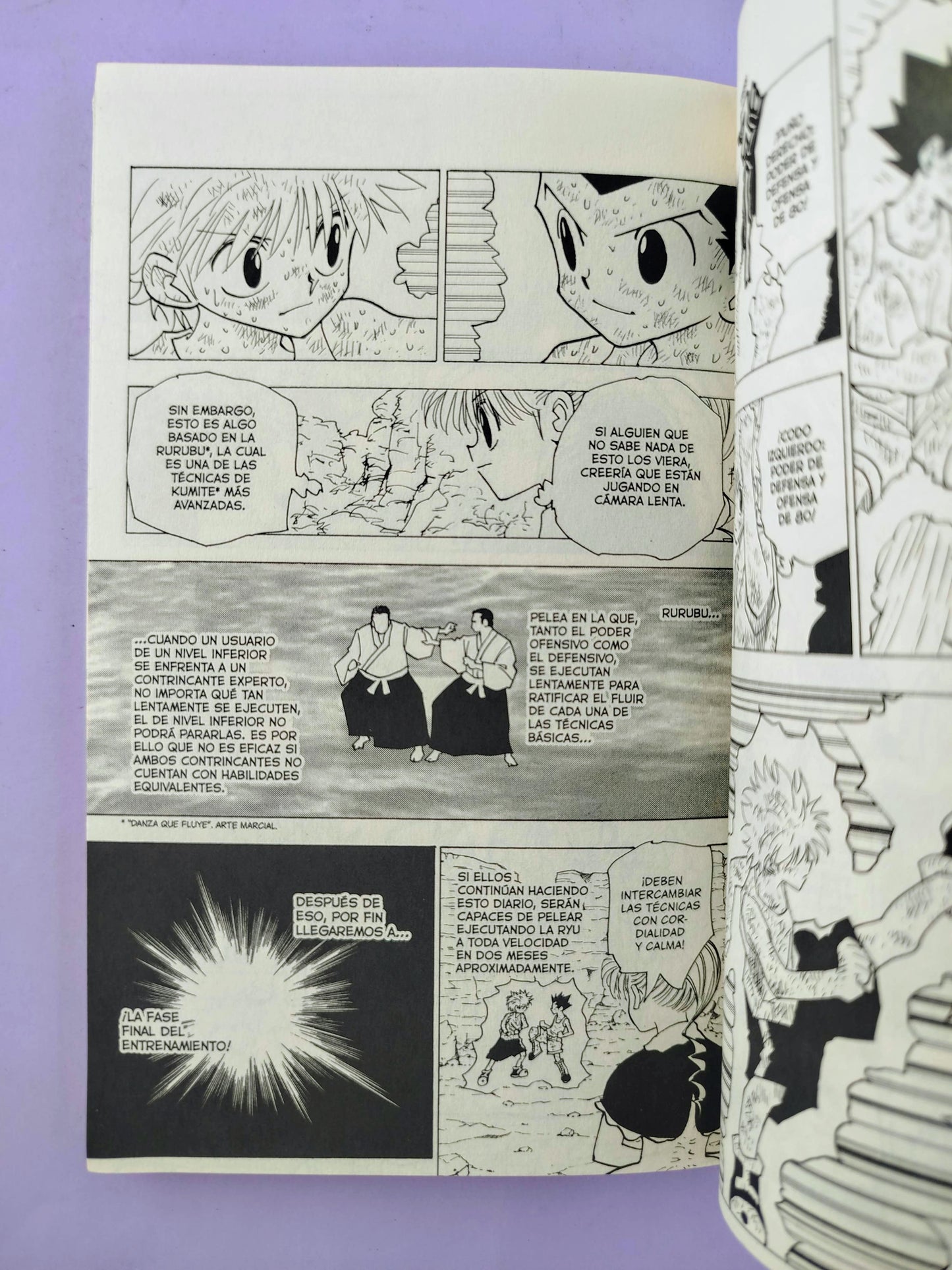 Hunter x hunter N.15 by Yoshihiro Togashi