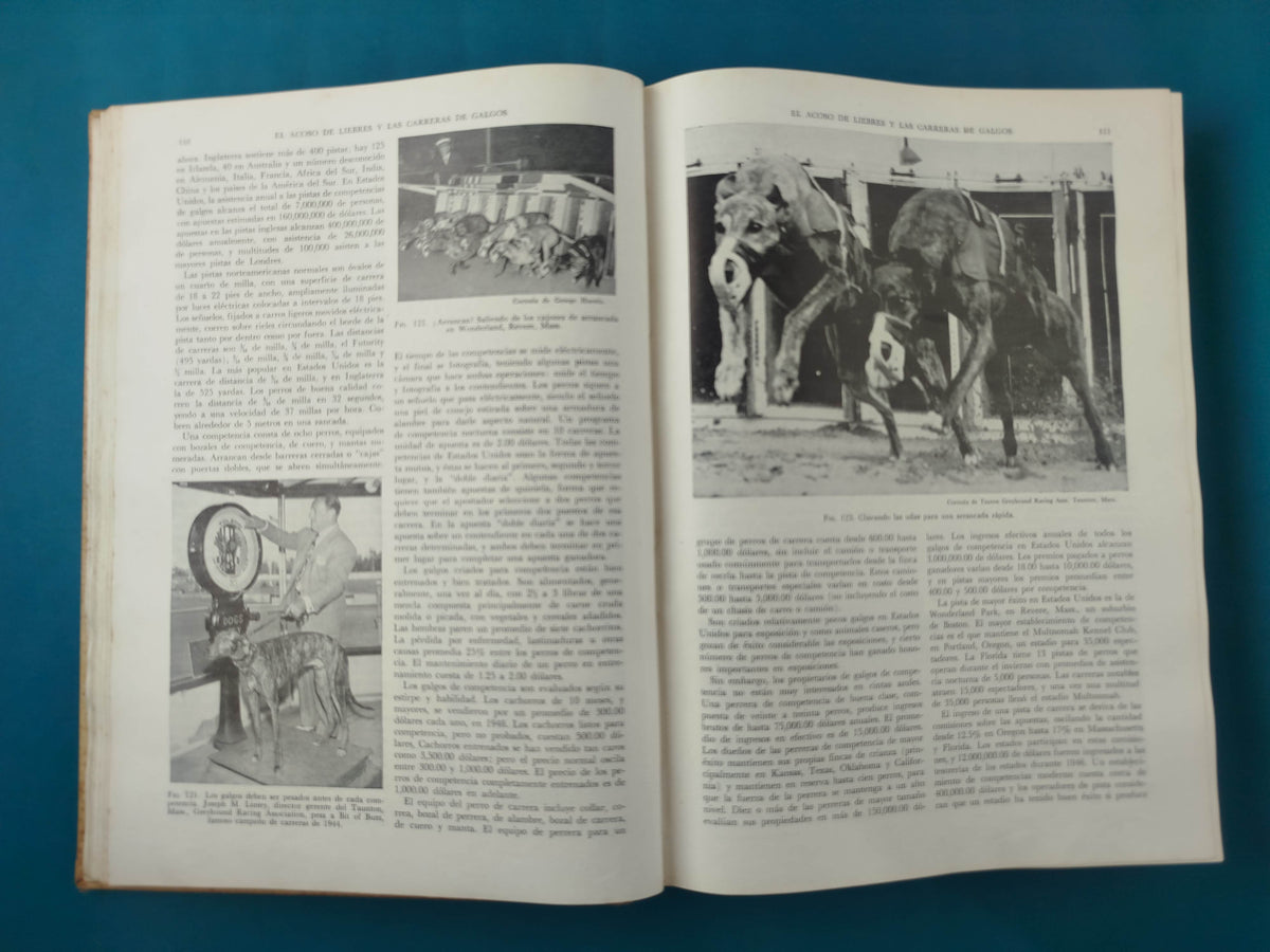 Enciclopedia Moderna del Perro by Henry P. Davis
