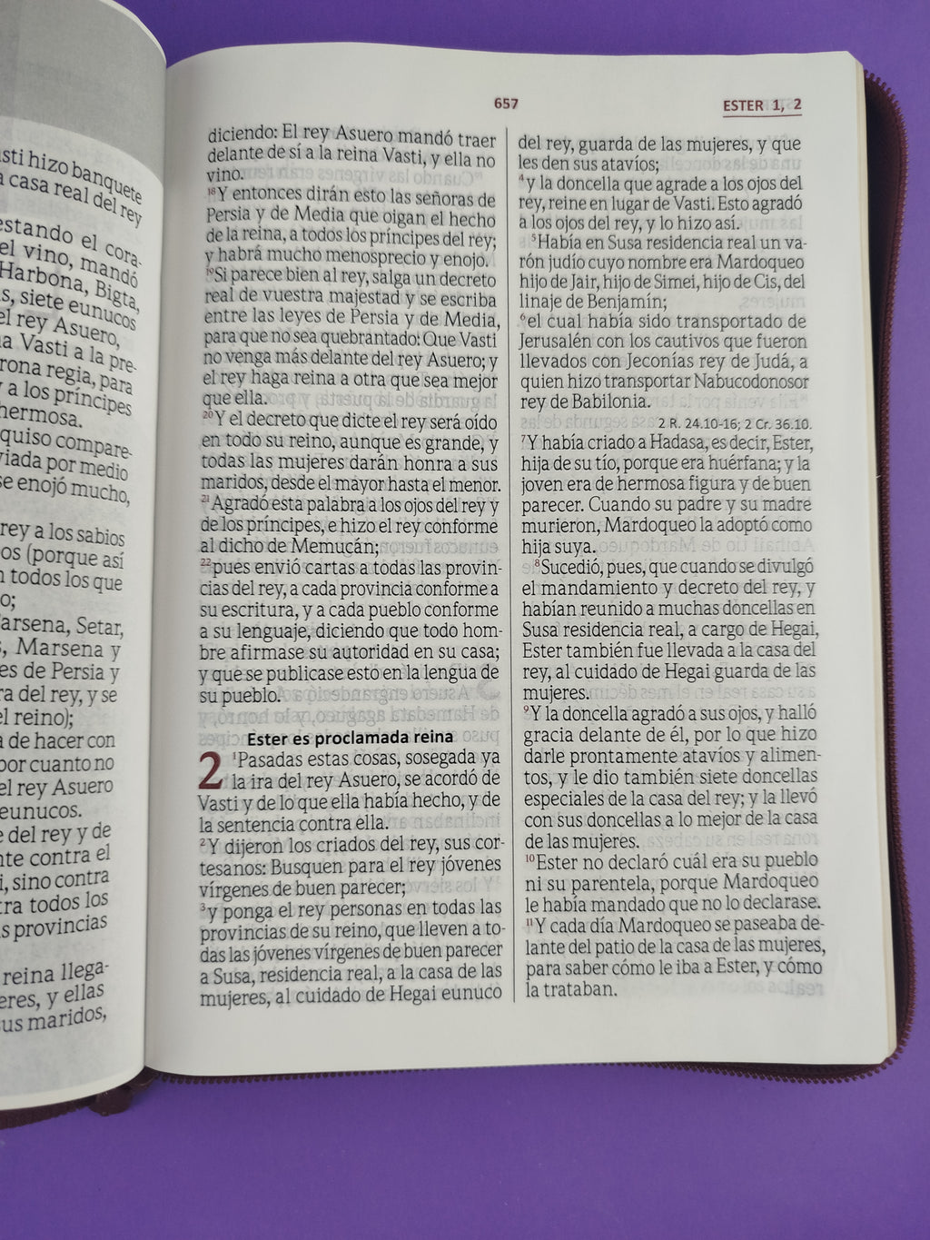 Biblia Letra Gigante Vinotinto Sin Indice by libreriatroya.com