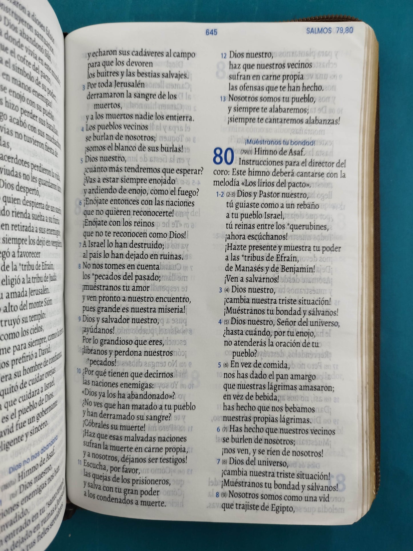 Biblia tla café con cierre Letra 11pts