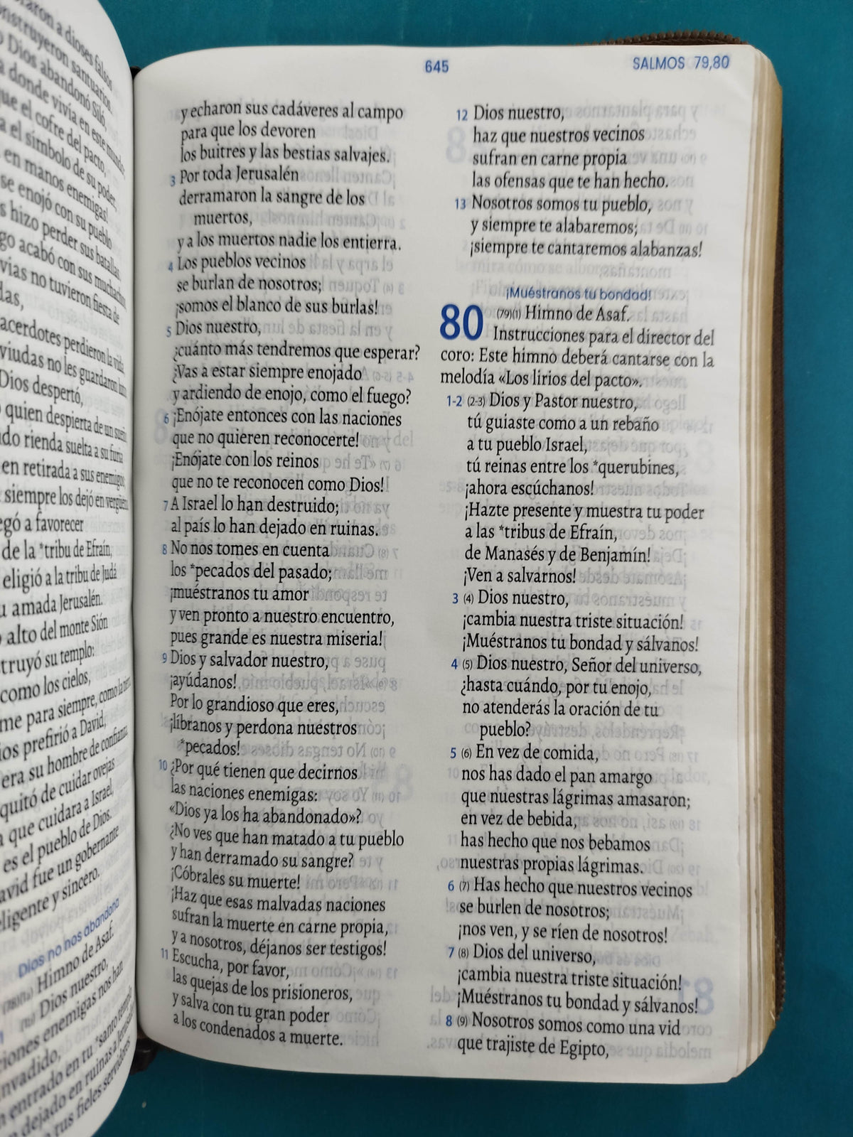 Biblia tla café con cierre Letra 11pts by Traducción en lenguaje actual