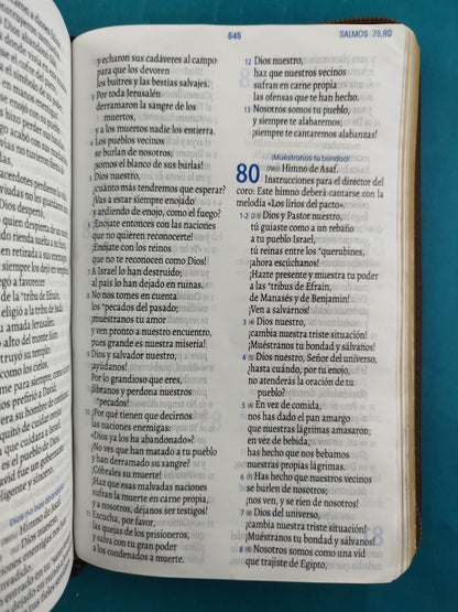 Biblia tla café con cierre Letra 11pts