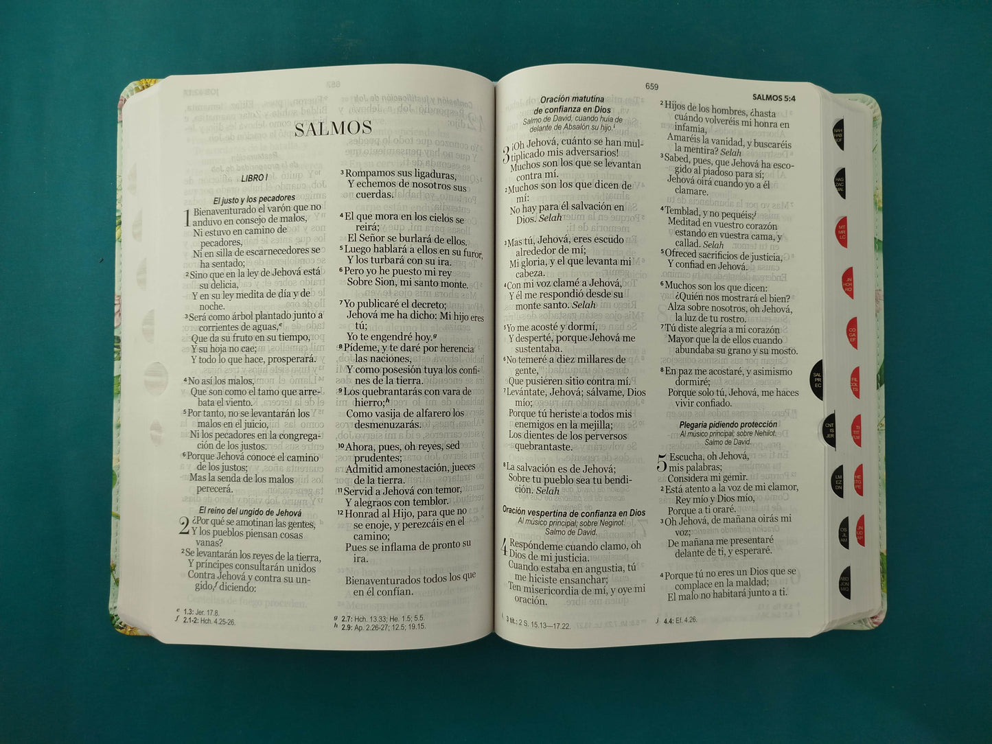 Biblia rvr letra grande verde menta flores borde blanco sin forro con índice