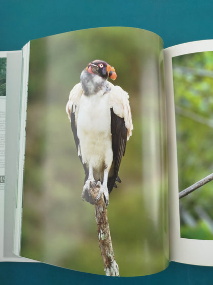 Aves Silvestres de Colombia - Wild Colombian Birds (en Español - Ingles)