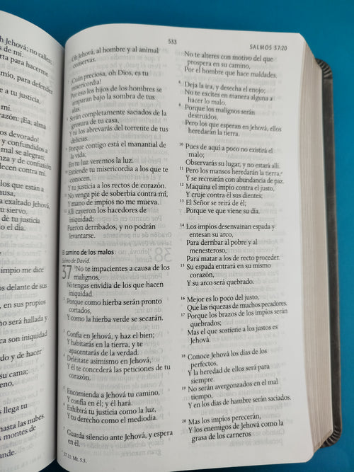 Biblia rvr 1960 letra grande tipo agenda gris sin cierre borde dorado e imágenes de la tierra santa tamaño manual by Reina Valera 1960