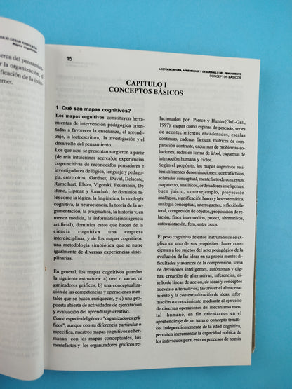 Mapas Cognitivos