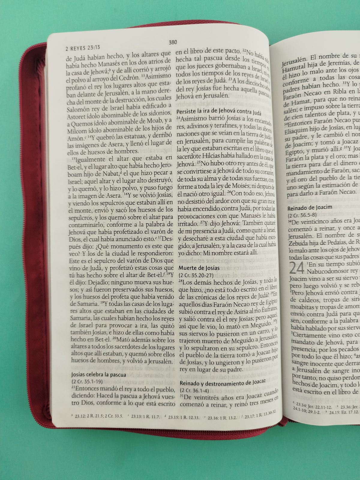Biblia rvr 1960 letra grande tipo agenda fucsia con cierre e imágenes de la tierra santa tamaño manual by Reina Valera 1960