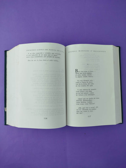 Primeros libros de poesía