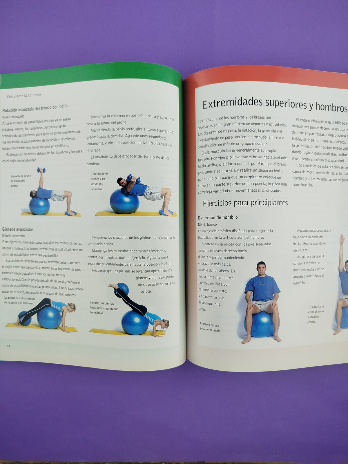 Fit-Ball - La técnica más divertida para ponerse en forma by Maureen Flett