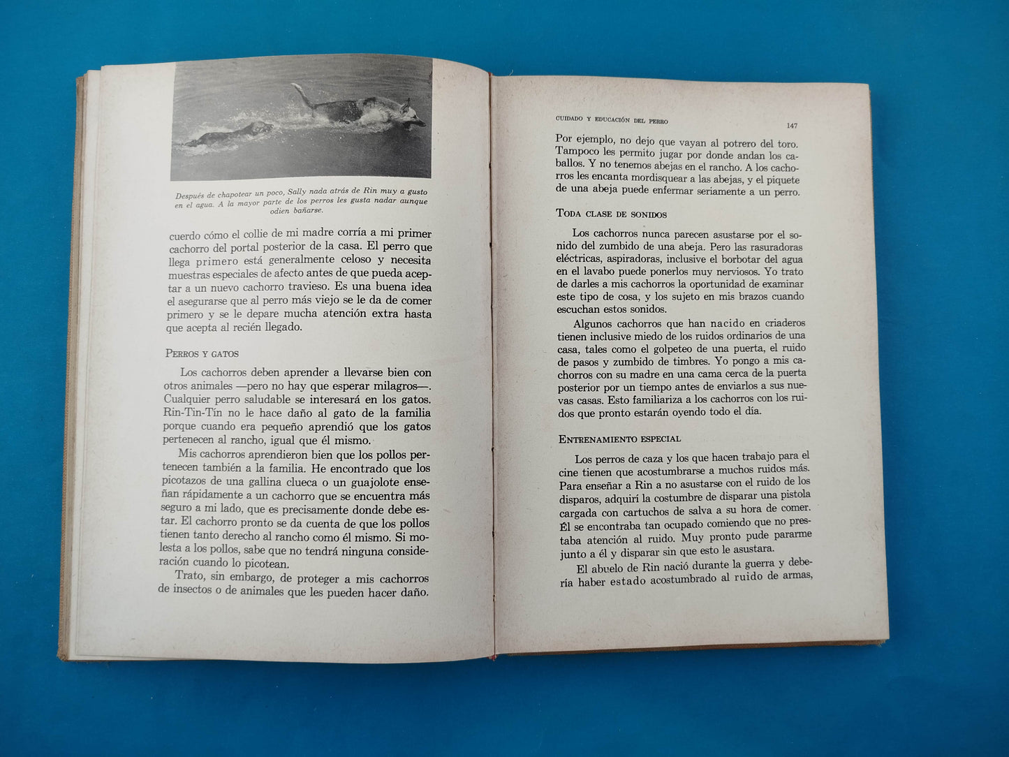 Cuidado y Educación del Perro