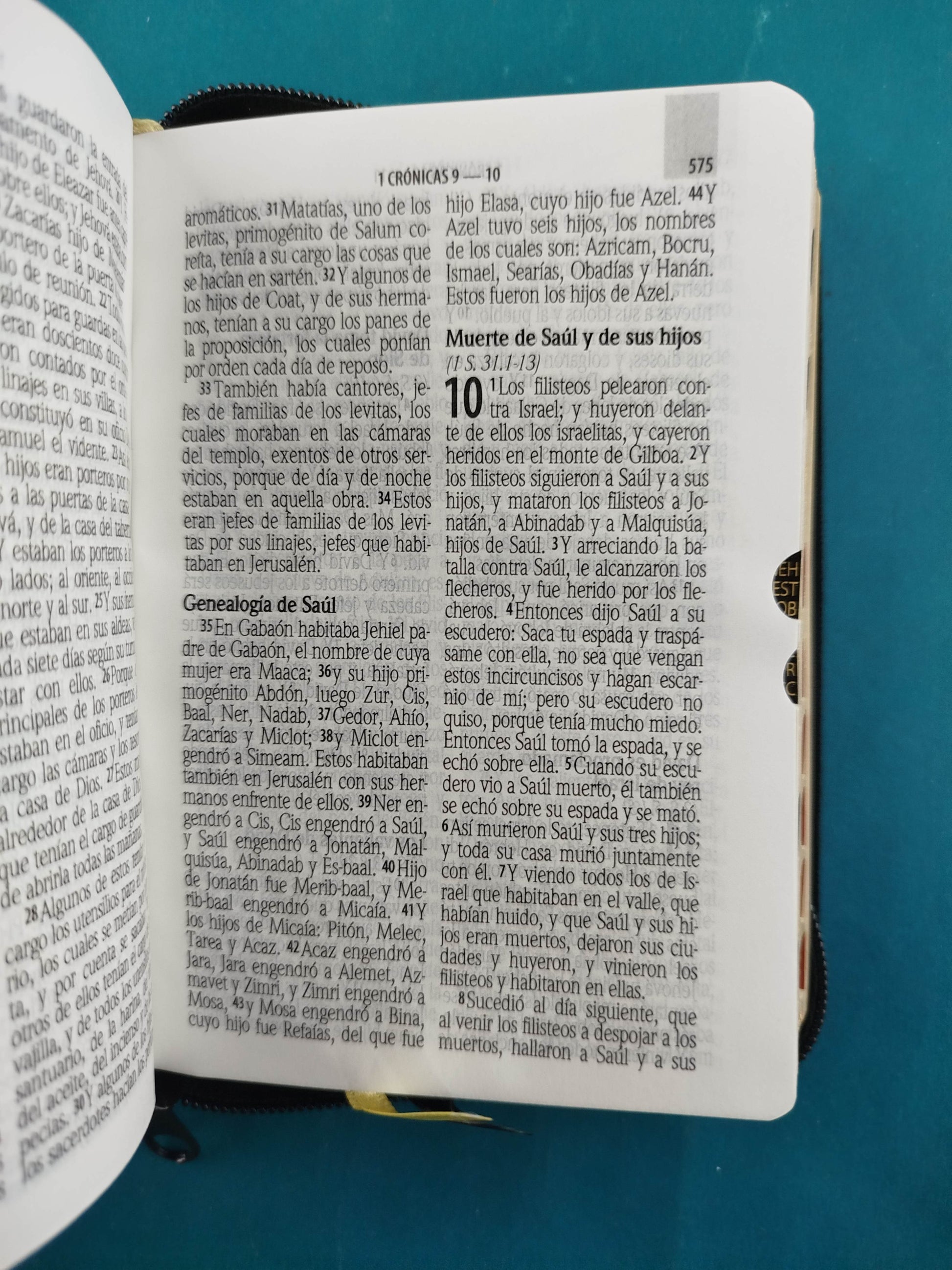 Biblia RVR 1960 Negra bolsillo Letra Grande by Reina Valera 1960