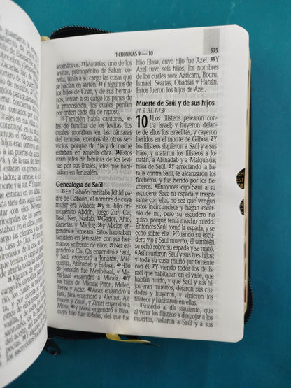 Biblia RVR 1960 Negra bolsillo Letra Grande by Reina Valera 1960