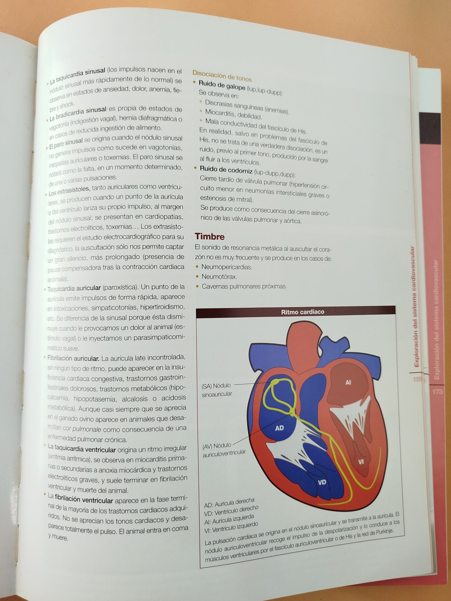 La Exploracion Clinica del Ganado Ovino y su Entorno