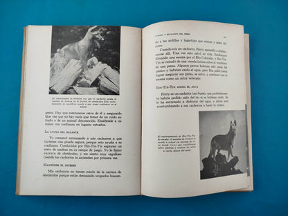 Cuidado y Educación del Perro