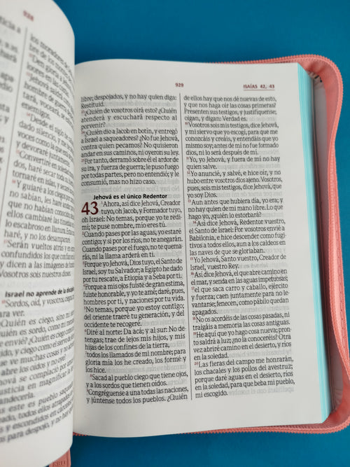 Biblia rvr 1960 blanco flores by Reina Valera 1960