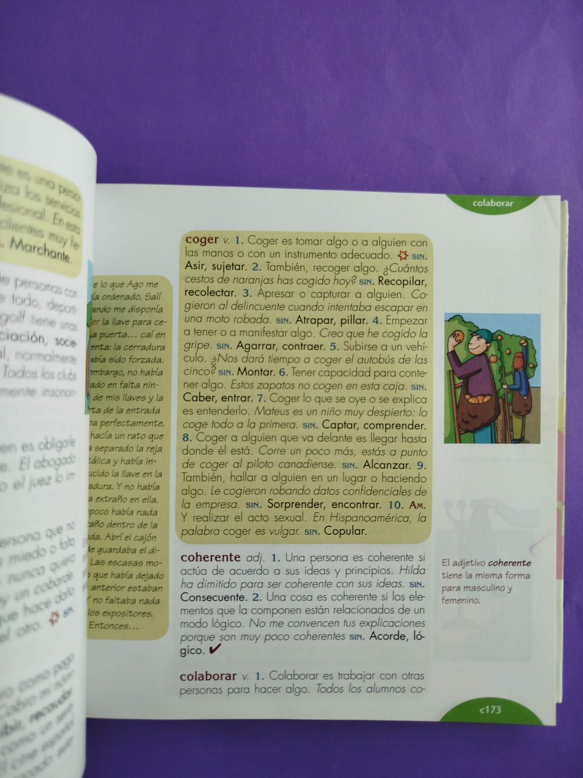 Diccionario de sinónimos y palabras afines by Carmen Gutiérrez Gutiérrez