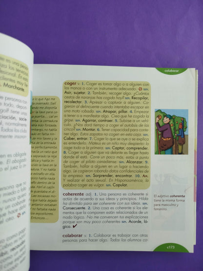 Diccionario de sinónimos y palabras afines by Carmen Gutiérrez Gutiérrez
