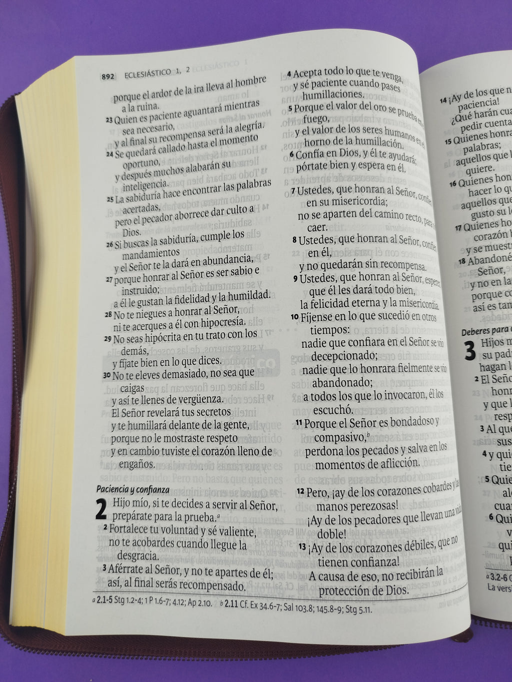 Biblia Dios Habla Hoy Letra Gigante Vinotinto by Varios