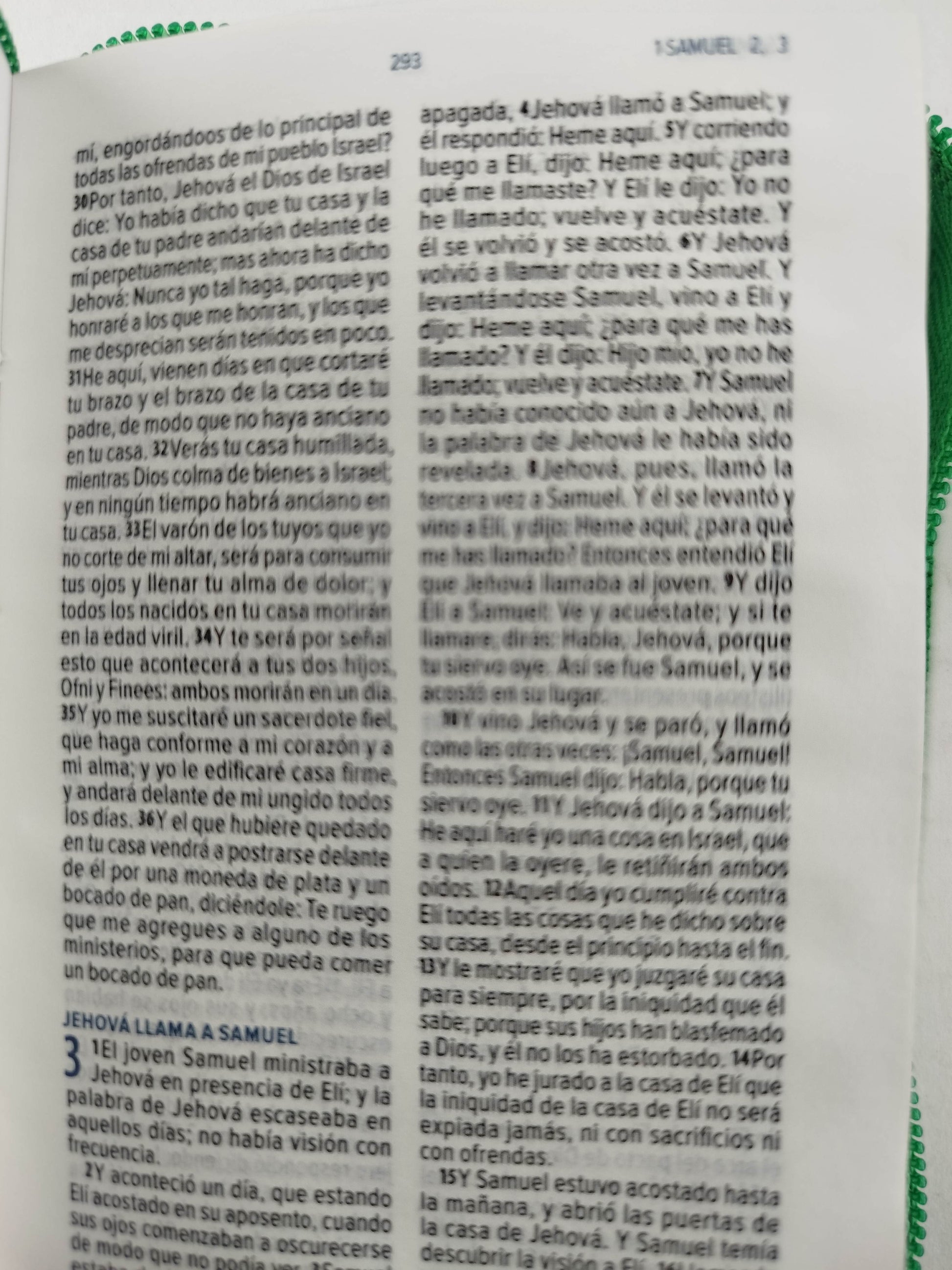 Biblia mini verde con cierre canto plateado by Reina Valera 1960
