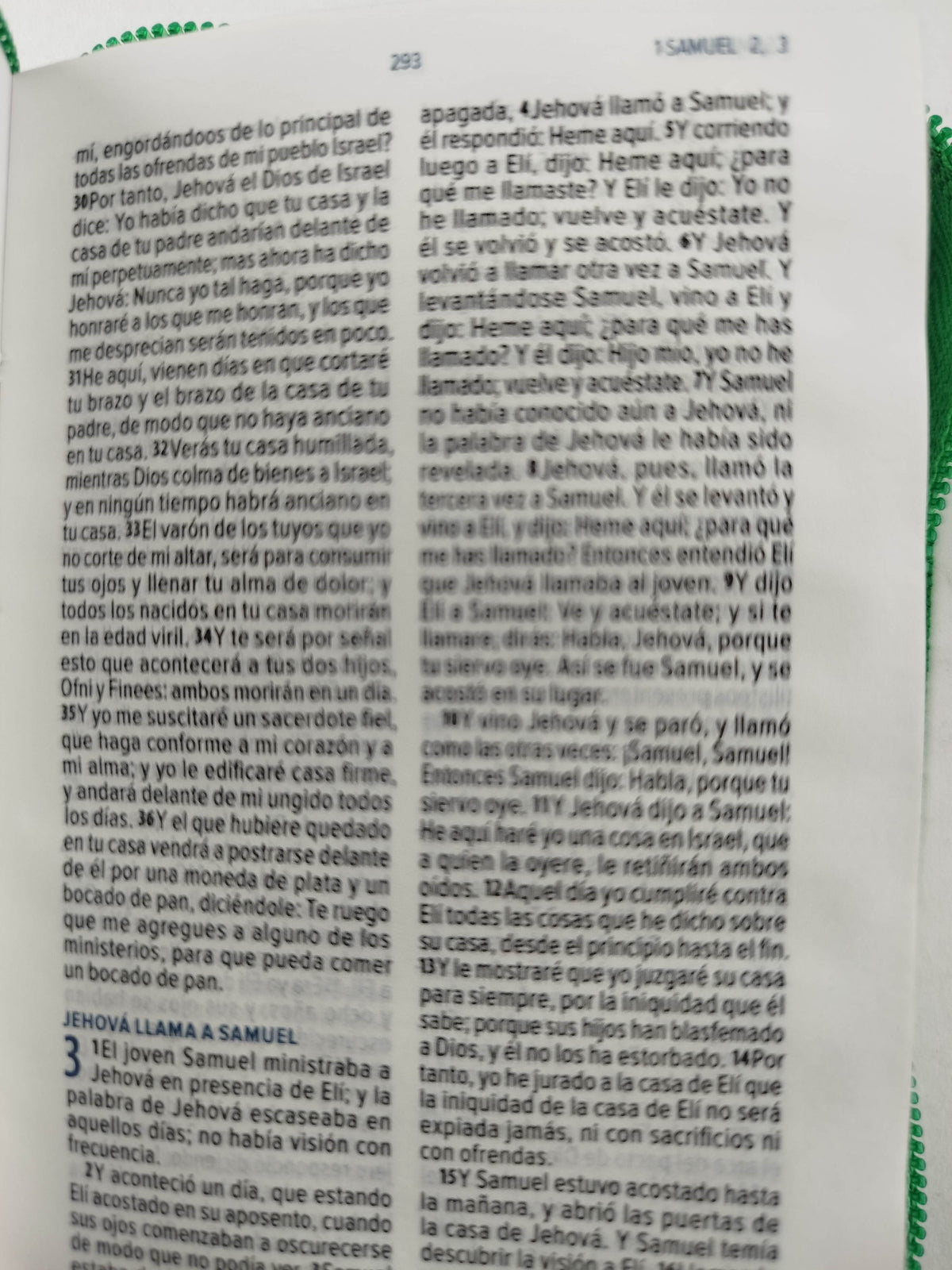 Biblia mini verde con cierre canto plateado by Reina Valera 1960