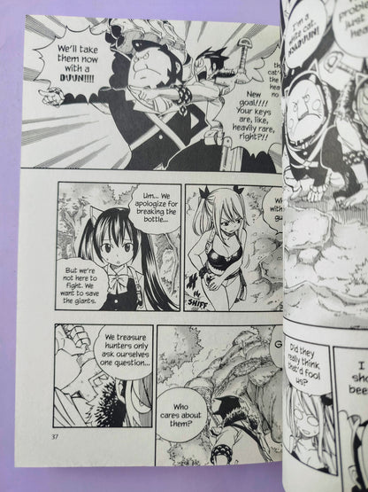 Fairy tail N.41